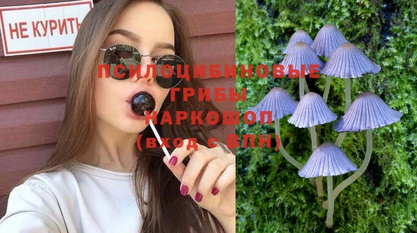 Альфа ПВП Касимов